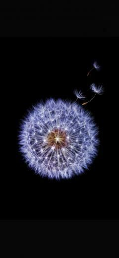 Samsung Galaxy S9 Wallpaper HD In S8