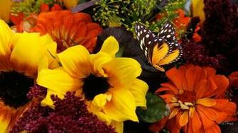 Autumn Flower Pictures For Wallpaper Image