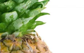 Pineapple Computer Wallpaper Desktop Background Id
