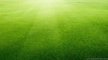 Lawn And Landscaping Background Sod Grass Companies Desktop