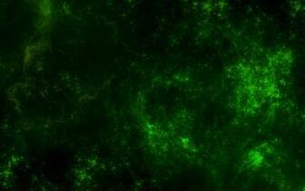The Available Nebula These Light Nebulae Green This Horse