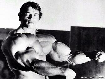 Arnold Schwarzenegger Conquer Wallpaper HD Elrinconcitodemaya