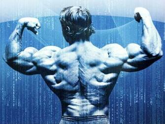 Arnold Schwarzenegger Wallpaper Top Best HD