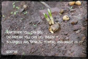 Scenery Spring Pictures Equinox Quotes