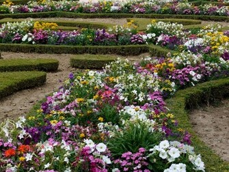 Flowers For Flower Lovers Garden Wallpaper