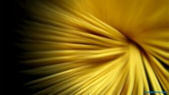 Black And Yellow Wallpaper Picture HD Site