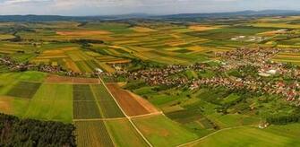 Slavonia