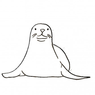 Mediterranean Monk Seal Wallpaper