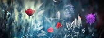 Wallpaper Cool Cover Amazing