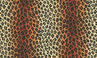 Albany Wallpaper Leopard Print Wild Thing A Stunning
