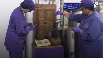 Spooky Halloween Scene Crafted By Cadbury World Chocolatiers