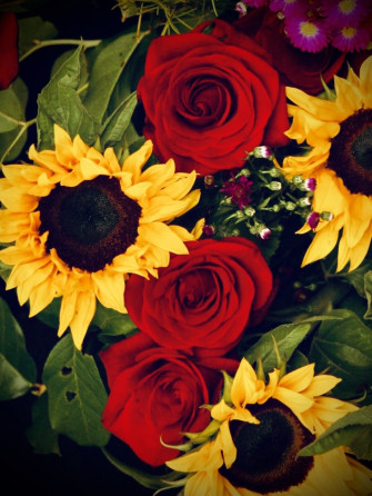 Sunflowers With Roses Red Wallpaper iPhone Love Rose