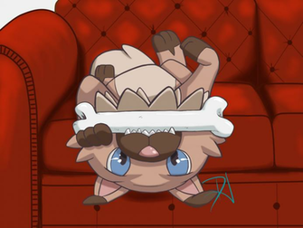Rockruff Playing With The Bone Pok Mon Know Your Meme