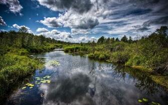 Nature Wallpaper Forest River