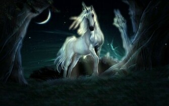 Unicorn Computer Wallpaper Desktop Background Id