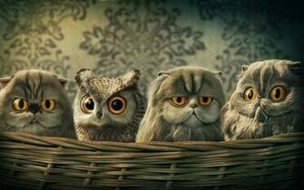 Owl Desktop Background Wallpaper HD Background