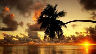 Background Of Landscapes With Tropical Sunset Nature Wallpaper HD