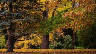 Autumn Forest Landscape 4k Ultra HD Desktop Wallpaper