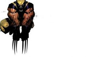 Wolverine Marvel Wallpaper Comics