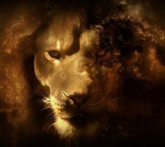 Galaxy Lion Wallpaper For Samsung