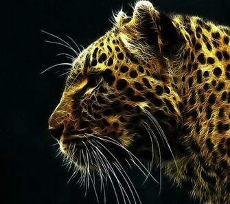 QHD Wallpaper For Android