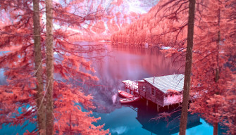 Autumn Nature 4k Kde Store