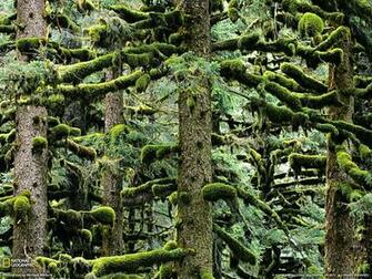 Picture Alaska Wallpaper National Geographic Photo Of The Day