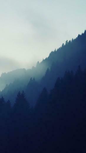 Misty Forest Tree Line Android Wallpaper iPhone Minimalist