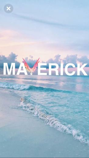 Be A Maverick Paul Bros Logan