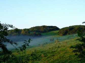 Irish Countryside