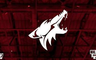Arizona Coyotes Wallpaper X Net