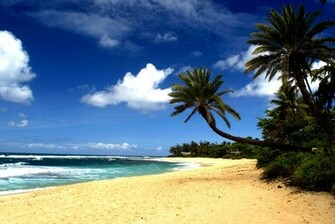 Hawaii Beach Wallpaper Website