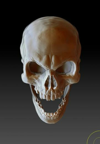 Evil Skull By Juliangibson