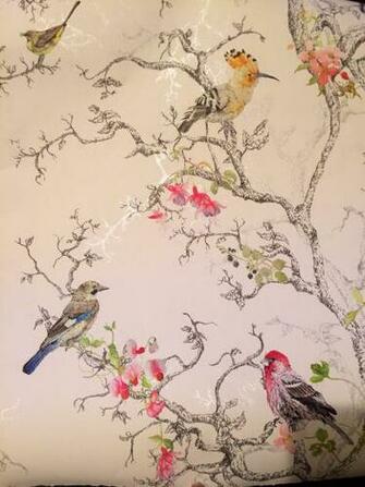 Birds Wallpaper B Q Kitchen Ideas