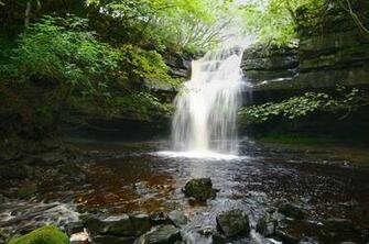Trees Waterfall Stream Rocks Wallpaper Photos Pictures