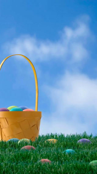 Basket Full Of Easter Egg Background Wallpaper