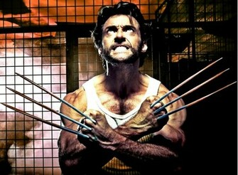 Hugh Jackman Wolverine Wallpaper