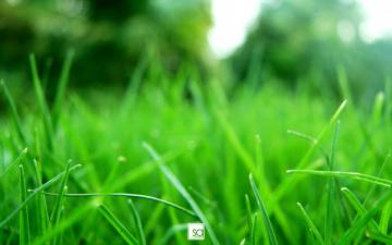 Refresh Wallpaper Top Background