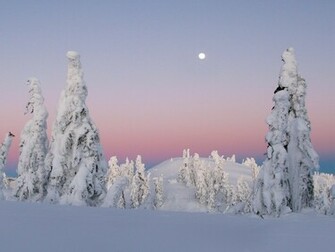 Winter Landscapes Cute Wallpaper