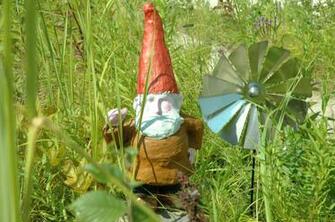 Garden Gnome Wallpaper Related Keywords Amp Suggestions