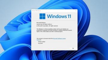 The Wallpaper Of New Windows