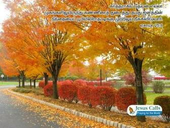 Bible Verse Greetings Card Wallpaper Nature Cute