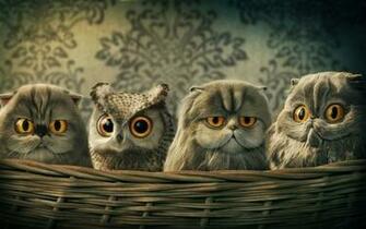 3d Wallpaper Art Lomo Owl Concept Illustrationscoolvibe