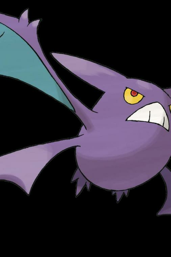Pokemon Crobat Image