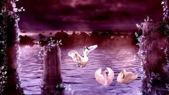 On August By Stephen Comments Off Swan Lake Wallpaper