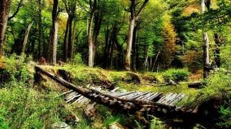 Nature HD Wallpaper Sf