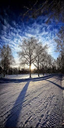 Winter iPhone Wallpaper