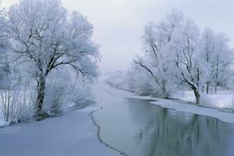 White Snow Landscape Wallpaper HD High Resolution