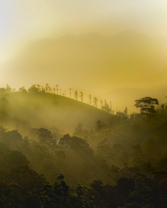 Vagamon Pictures Image