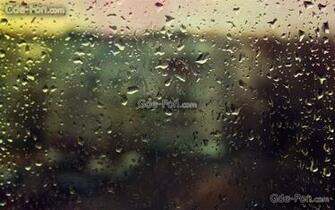 Rain Window Wallpaper